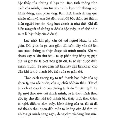 The Mastery Of Love - Những Chỉ Dẫn Để Làm Chủ Trái Tim _SGB