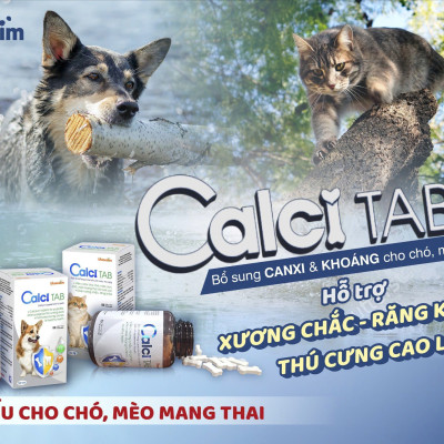 Viên Bổ sung Canxi và Khoáng cho Chó Mèo Vemedim Calci Tab, Giúp Xương Chắc Khỏe - Hộp 50 viên