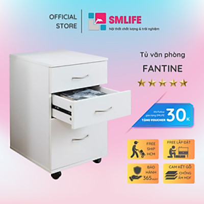 Tủ tài liệu hiện đại tự đứng tài liệu kiểu dáng đơn giản SMLIFE Fantine