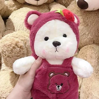 Gấu bông Teddy mặc yếm - Size 30cm - Áo có thể cởi ra - Quà tặng gấu bông gấu dâu mặc yếm.
