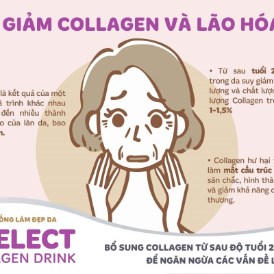 [Tặng Quà] Combo 3 Hộp Nước Uống Đẹp Da Collagen S Select Nhật Bản (30 Lọ)