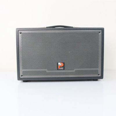 Loa kéo Prosing W-Silver E – Loa karaoke thùng gỗ cao cấp - Hàng chính hãng