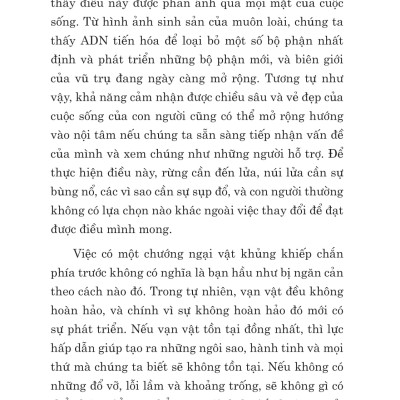 The Mountain Is You: Nếu Không Giải Quyết Vấn Đề, Bạn Sẽ Trở Thành Vấn Đề _BIZ