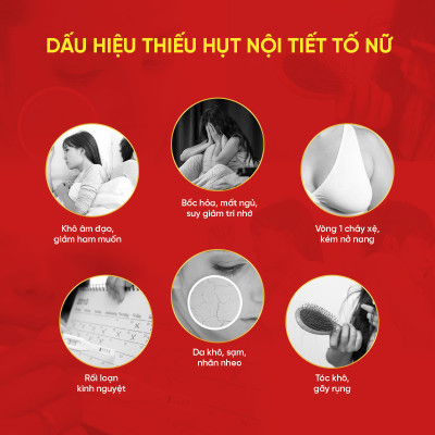 Liệu trình tăng nội tiết tố nữ Marilyn Plus Dân Khang giảm khô hạn tăng sinh lý nữ hộp 30 viên