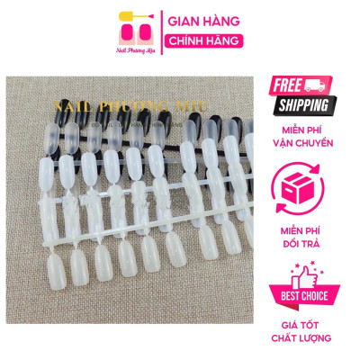 Vỉ Móng Mẫu Form Tròn Học Nail Chuyên Dụng, Bịch 240 Móng, Nhựa Loại 1, Tập Sơn Vẽ Hoạt Hình Làm Nail, Dễ Dàng Tách Ra Nữ Women