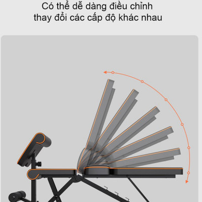 Ghế Tập Tạ Đa Năng Điều Chỉnh FED002 Nhập Khẩu Cao Cấp Chịu Lực 300kg