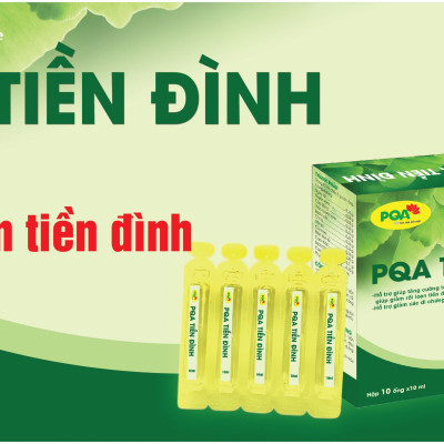 Tiền Đình PQA Hỗ Trợ Tăng Cường Tuần Hoàn Máu Não, Tai Biến,  Các Triệu Chứng Sau Tai Biến Hộp 10 Ống