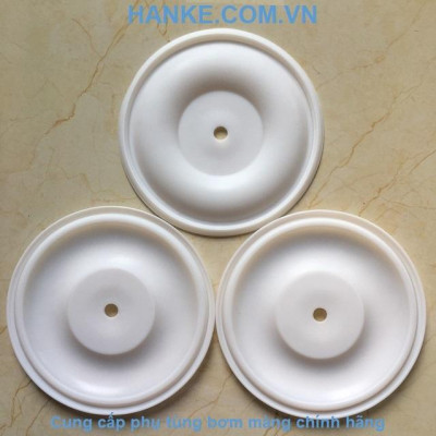 Màng Teflon QBY3-20-25TFLGM