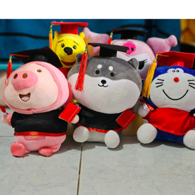 Gấu bông tốt nghiệp nhiều mẫu dễ thương 20cm - Quà tặng gấu bông dễ thương.