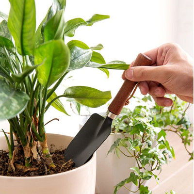 Combo 02 Xẻng nhỏ làm vườn cán gỗ Echo Nhật Bản