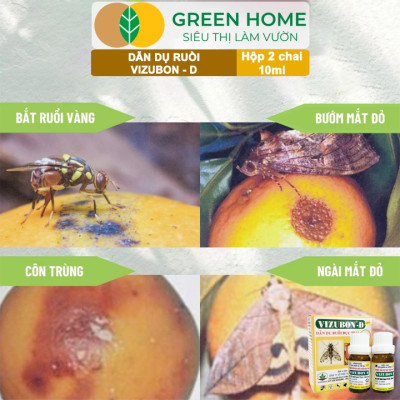 Chế Phẩm Dẫn Dụ Ruồi Vàng Đục Trái VIZUBON-D, GreenHome, 10ml, Không Cần Phun Xịt, An Toàn Cho Người