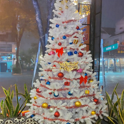 Cây thông noel màu trắng cao 2m4 - Tán dày và đẹp, cây thông chắc chắn và dể tháo lắp