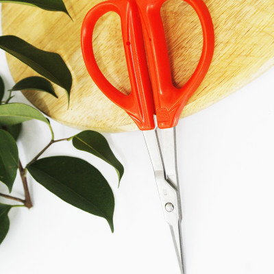 Kéo cắt nho cao cấp Nhật Bản Chikamasa B-300S