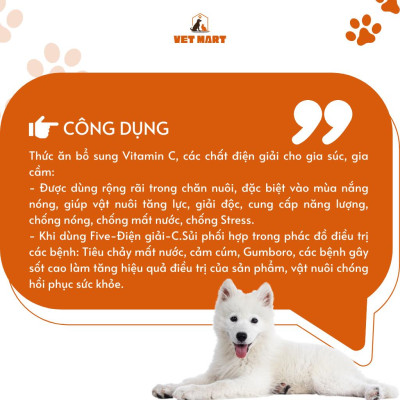 Five Điện giải C sủi - Dung Dịch Giải Nhiệt, Bù Nước, Chống nóng, tăng lực phục hồi cho Gia Súc, Gia cầm, chó mèo 1KG