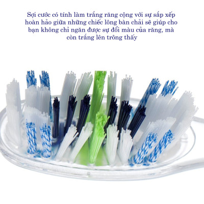 Bàn Chải Đánh Răng Trisa Profilac White