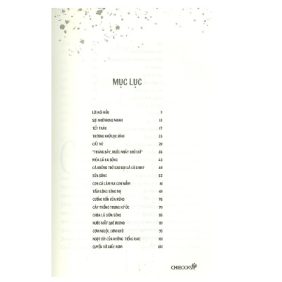 Những Hạt Bùn Vạn Dặm (CB)