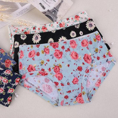 Set 5 Quần Lót Đúc Su Điều Hòa Thông Thoáng HM11