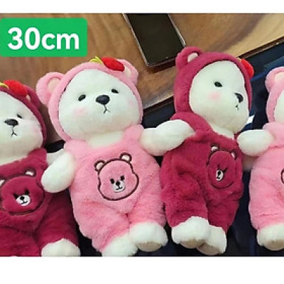 Gấu bông Teddy mặc yếm - Size 30cm - Áo có thể cởi ra - Quà tặng gấu bông gấu dâu mặc yếm.