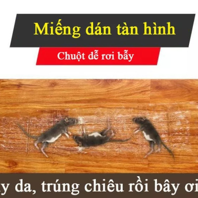 Keo dán chuột keo dính chuột keo bẫy chuột (Dài 1.2M)