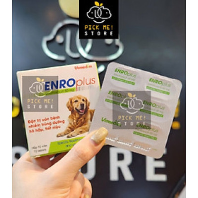 Vemedim Enro Plus - Trị Nhiễm Khuẩn Tiêu Hóa, Hô Hấp, Tiết Niệu, Viêm Tai Ngoài cho Chó Trưởng Thành