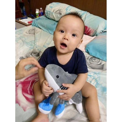 Gấu bông tralalero tralala to rẻ bombardino crocodilo 3d mô hình tung tung sahur ship HOẢ TỐC HCM