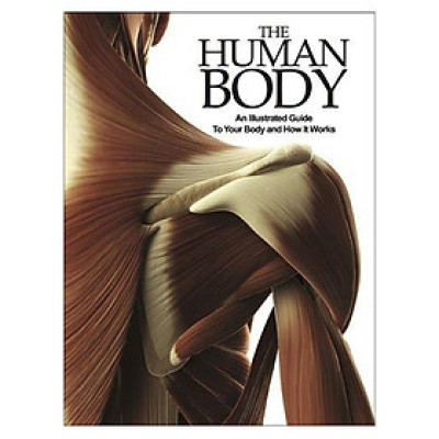 Human Body: An Illst Gde To Your Body