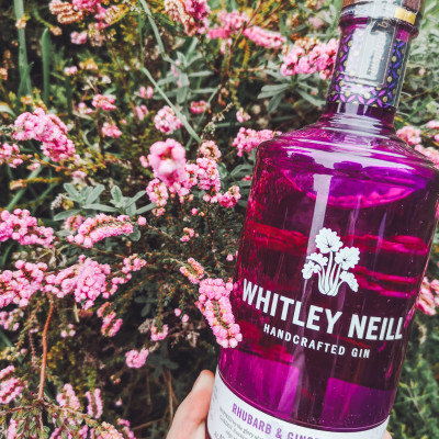 Rượu Whitley Neill Handcrafted Rhubarb & Ginger Gin 43% (700ml) - Không hộp
