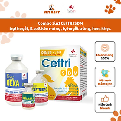 Combo 3in1 CEFTRI SDM bại huyết, E.coli kéo màng, tụ huyết trùng, viêm khớp, hen, khẹc, ORT
