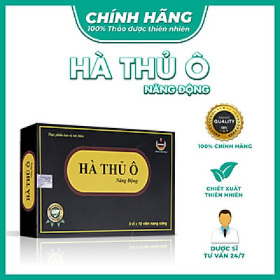HÀ THỦ Ô NĂNG ĐỘNG - NĂNG ĐỘNG - LÀM ĐEN RÂU TÓC