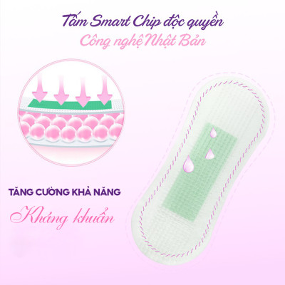 Combo 6 Băng vệ sinh hàng ngày thảo dược Doctor Care 16 cm siêu khô thoáng cả ngày dài