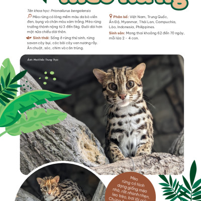 Thảo Cầm Viên Sài Gòn - Kho Báu Trong Lòng Thành Phố