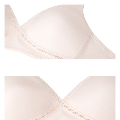 Áo Ngực Triumph Corsina 01 HP CS-TL - Da