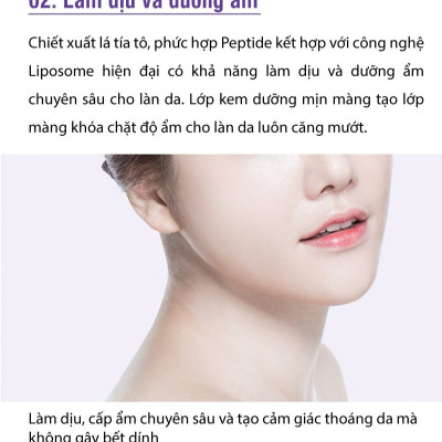 Kem dưỡng Labo Dermafirm - Ultra Soothing Hydra Cream R4 (50ml) phục hồi cho da giãn mao mạch