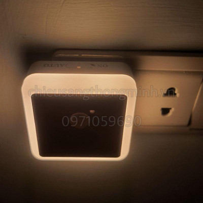 Đèn Ngủ Cảm Biến Hồng Ngoại Cao Cấp - Rạng Đông 0.3W DN-RD-01