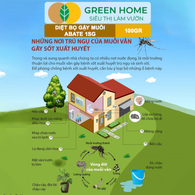 Chế Phẩm Diệt Bọ Gậy, Muỗi Greenhome, Abate 1SG, Chai 100Gr, Ngắn Ngừa Bệnh Sốt Xuất Huyết, Sốt Rét