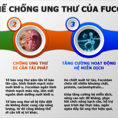 Thực Phẩm Bảo Vệ Sức Khỏe Kanehide Bio Super Fucoidan Dạng Nước,Hộp (30 Gói x 100ml), Phòng Và Hỗ Trợ Điều Trị Mọi Loại Ung Thư Bất Kì Giai Đoạn, Tăng Hệ Miễn Dịch, Sức Đề Kháng, Điều Hòa Huyết Áp, Đường Huyết, Kéo Dài Tuổi Thọ, Bồi Bổ Cơ Thể.