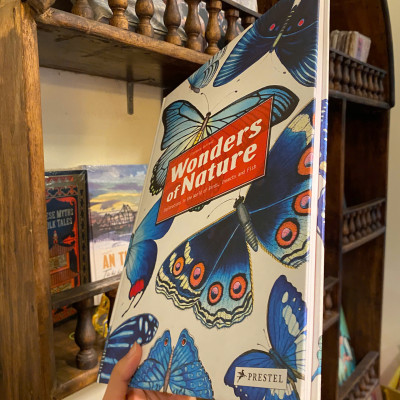 Sách - Wonders of Nature: Explorations in the World of Birds, Insects and Fish by Florence Guiraud