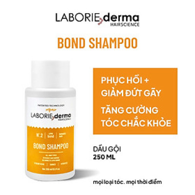 Dầu gội hỗ trợ phục hồi, tăng cường chắc khỏe tóc LABORIE derma Bond Shampoo 250ml