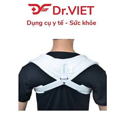 Đai số 8 H1-ORBE