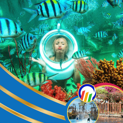 Cáp Treo Hòn Thơm + Đi Bộ Dưới Biển Ngắm San Hô - Combo Tiêu Chuẩn (Có Buffet) (1 Người Lớn)