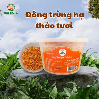Đông Trùng Hạ Thảo Tươi (Hộp 150gr)