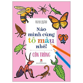 Nào Mình Cùng Tô Màu Nhé! - Côn Trùng