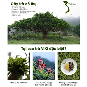 Trà xanh ViXi trà Shan Tuyết cổ thụ lá rời 1 búp 2 lá 220gr - 500gr