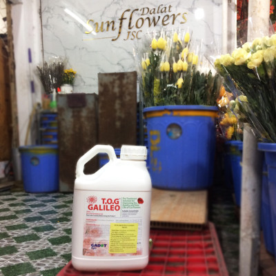 Dung Dịch Xử Lý Hoa TOG Galileo của ISRAEL (Chai 1 Lít) dùng bảo quản hoa cắt cành tươi lâu tại Nhà Vườn Trồng Hoa, Vựa Hoa và Chợ Sỉ Hoa. Tỷ lệ dung dịch 0.1% tức chai 1 Lít TOG pha được 1.000 Lít dung dịch xử lý hoa