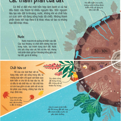 Under Your Feet - Dưới Đôi Bàn Chân Bạn - Đất, Cát Và Ti Tỉ Thứ Dưới Lòng Đất