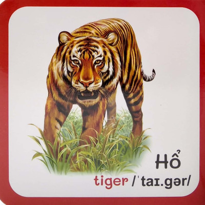 Từ Điển Bằng Hình Đầu Tiên Của Bé - Baby