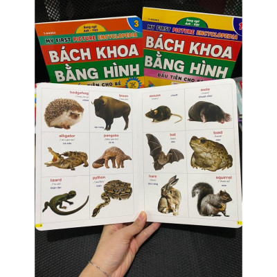 Combo Bách Khoa Bằng Hình Đầu Tiên Cho Bé Theo Chủ Đề - Song ngữ Anh Việt - Quét mã QR nghe đọc