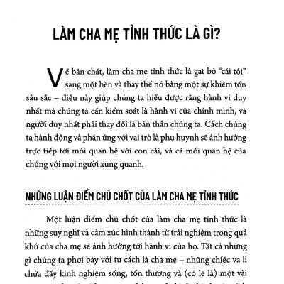 Cha Mẹ Tỉnh Thức - Các Chiến Lược Để Kết Nối Với Con