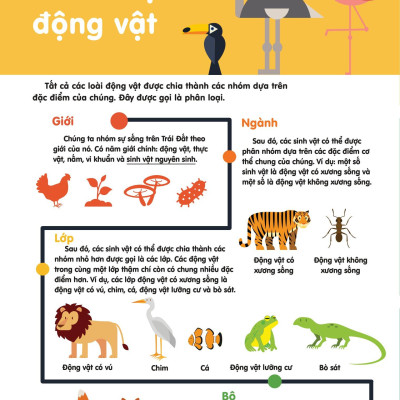 Infographics - Bách Khoa Tri Thức Bằng Đồ Họa Cho Trẻ Em - Tiến Hóa