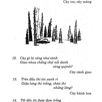 Câu Đố Tuổi Thơ